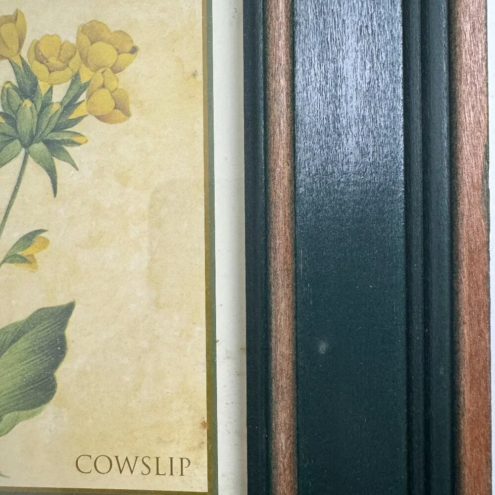 Vintage Country Style Picture Featuring Herbs Wall Decor Set of 2 Botanical ART